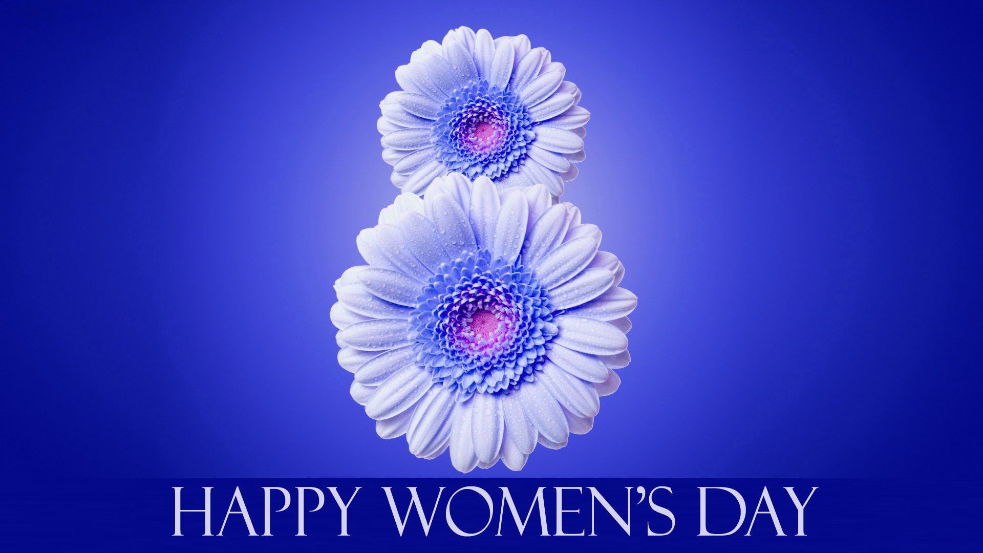 8. märz internationaler frauentag blumen inschrift blauer hintergrund