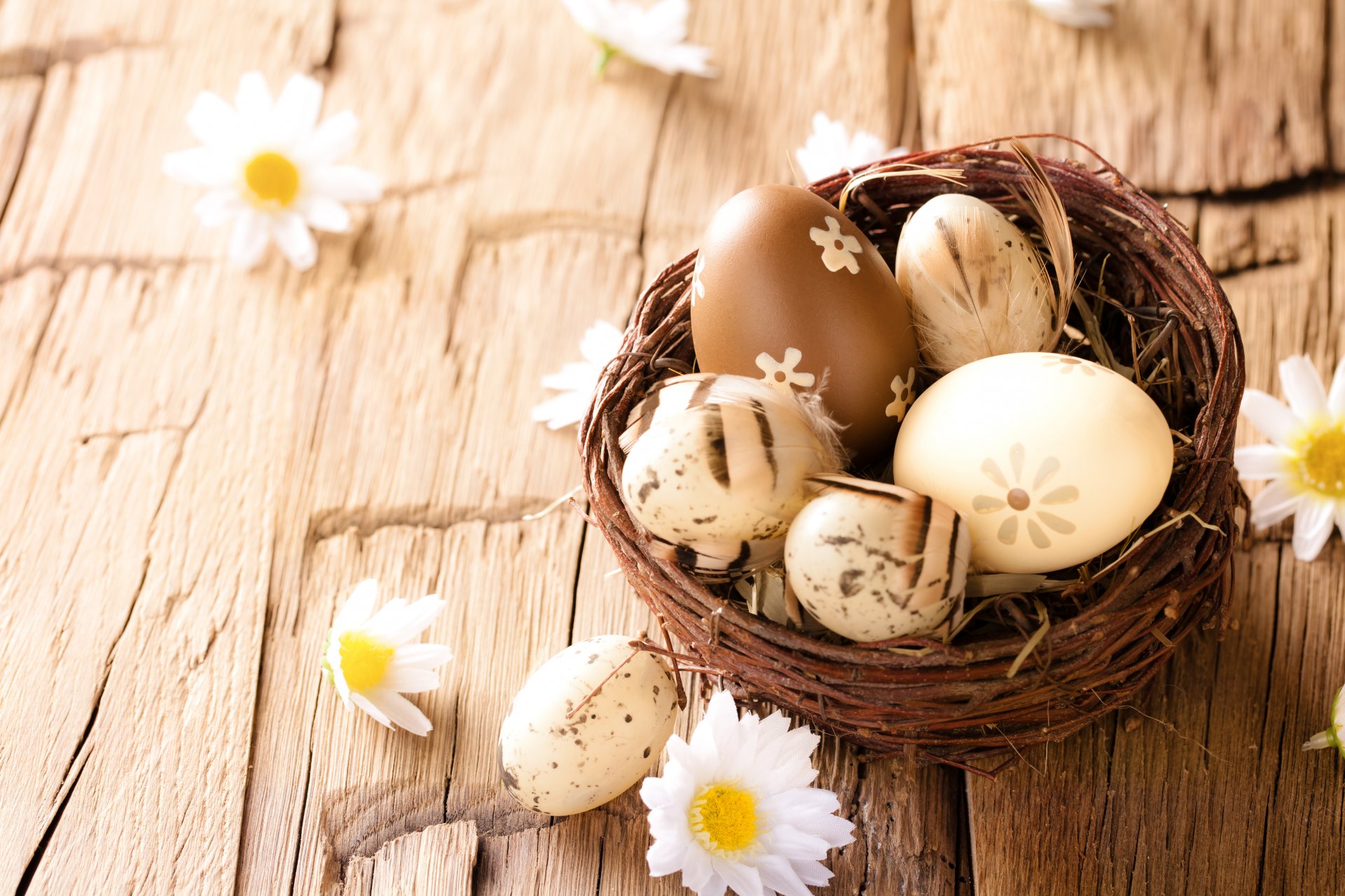 ostern eier baum blumen gänseblümchen