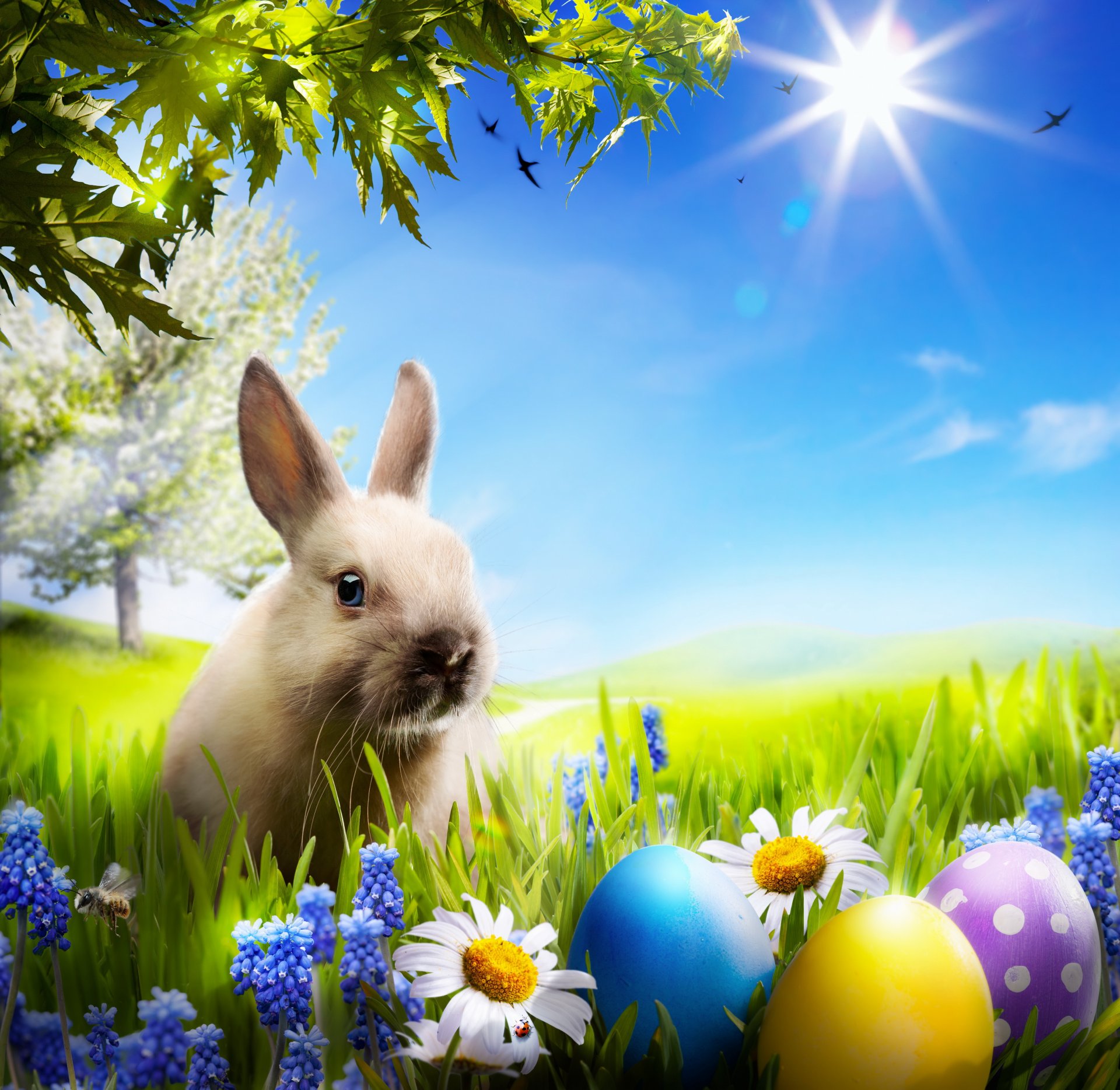 easter rabbit spring sun meadow grass flowers eggs daisies spring easter