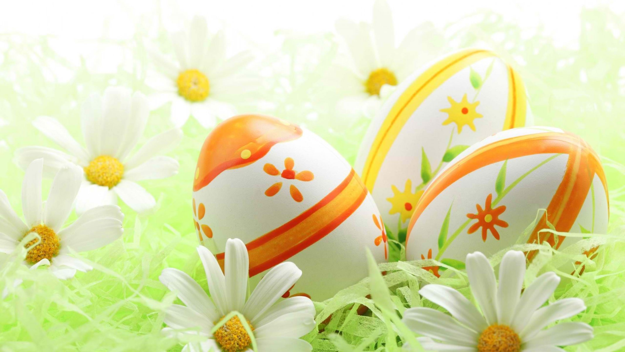 pasqua uova religione fiori colori