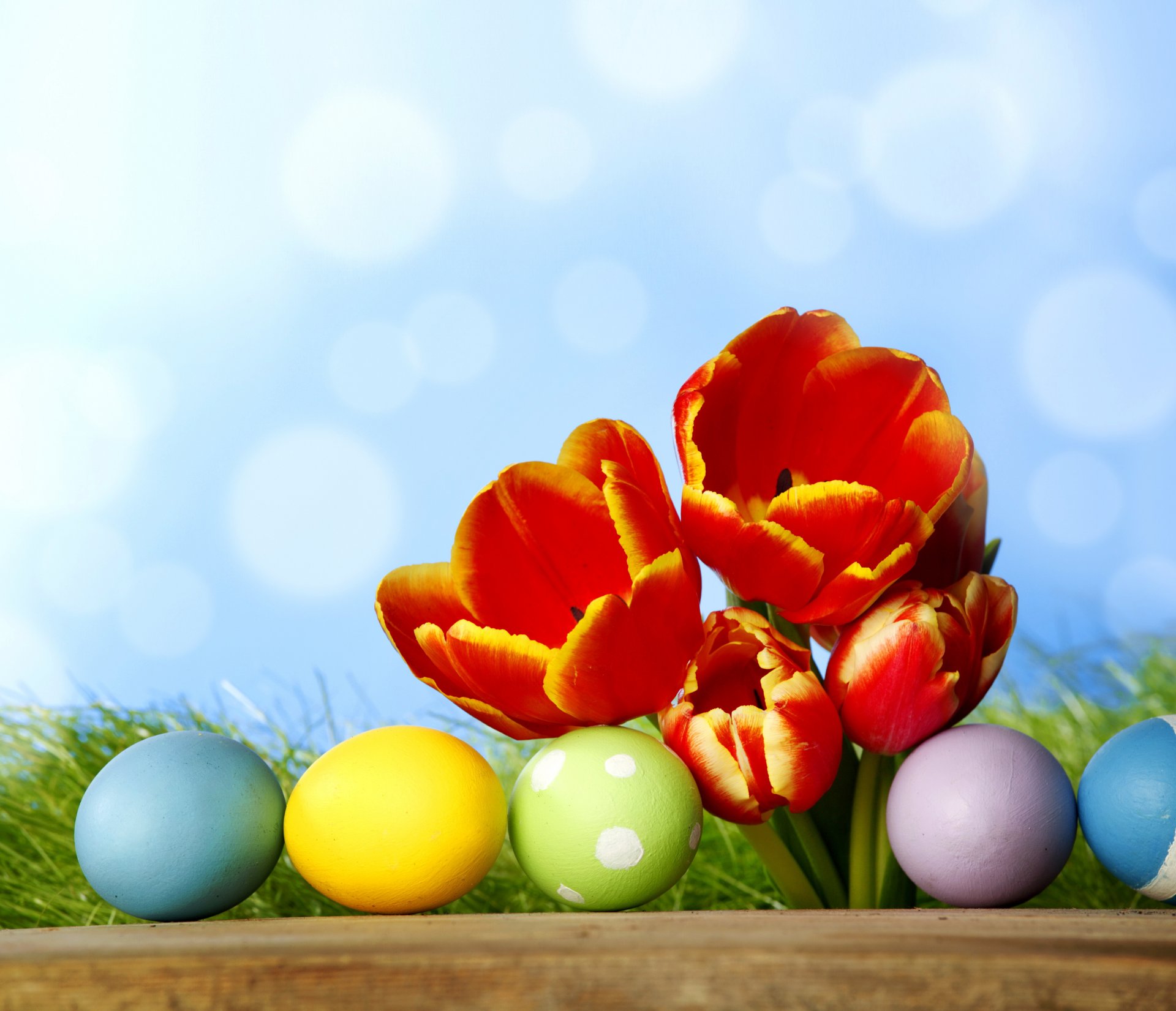 easter spring flowers eggs colorful tulips flower painted gra