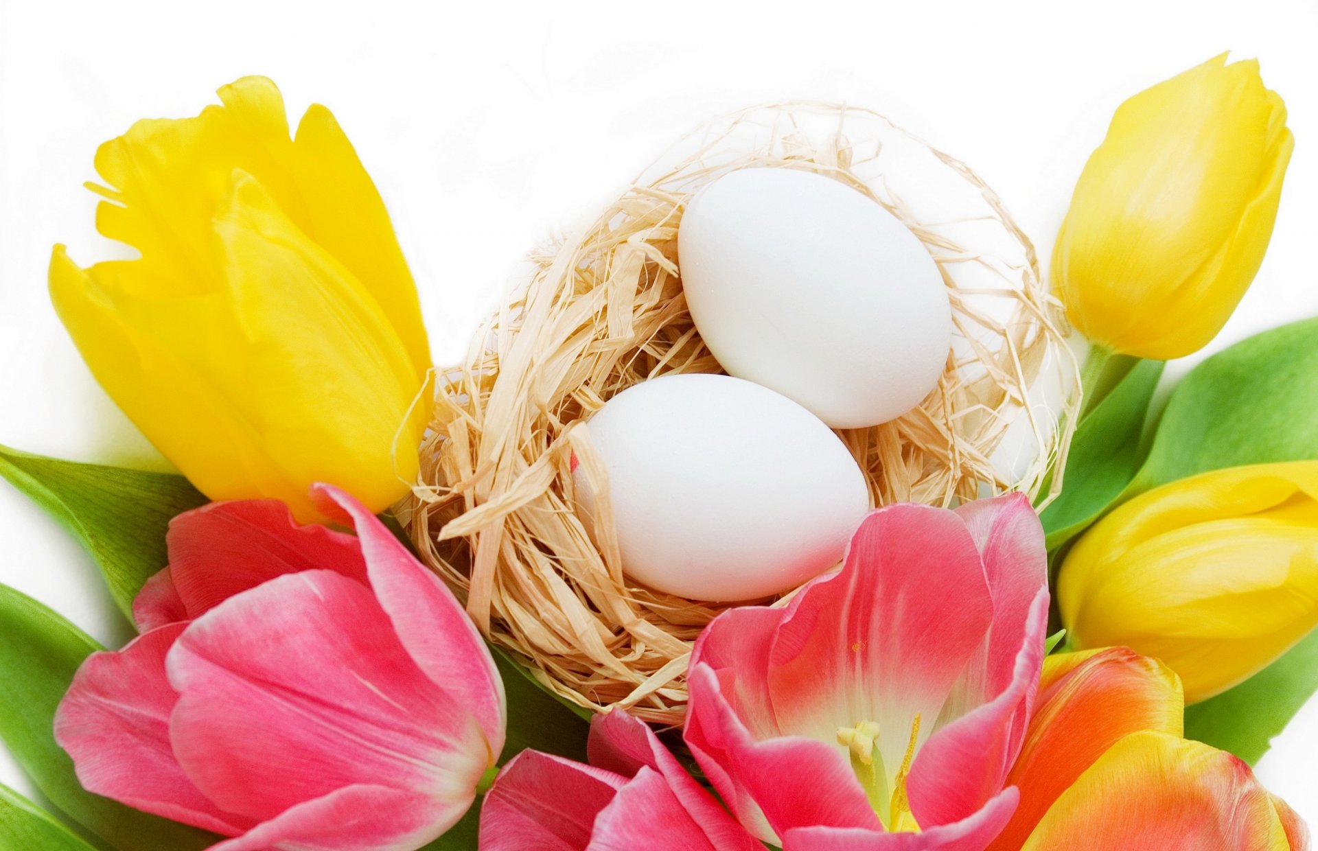 easter holiday flower eggs tulip