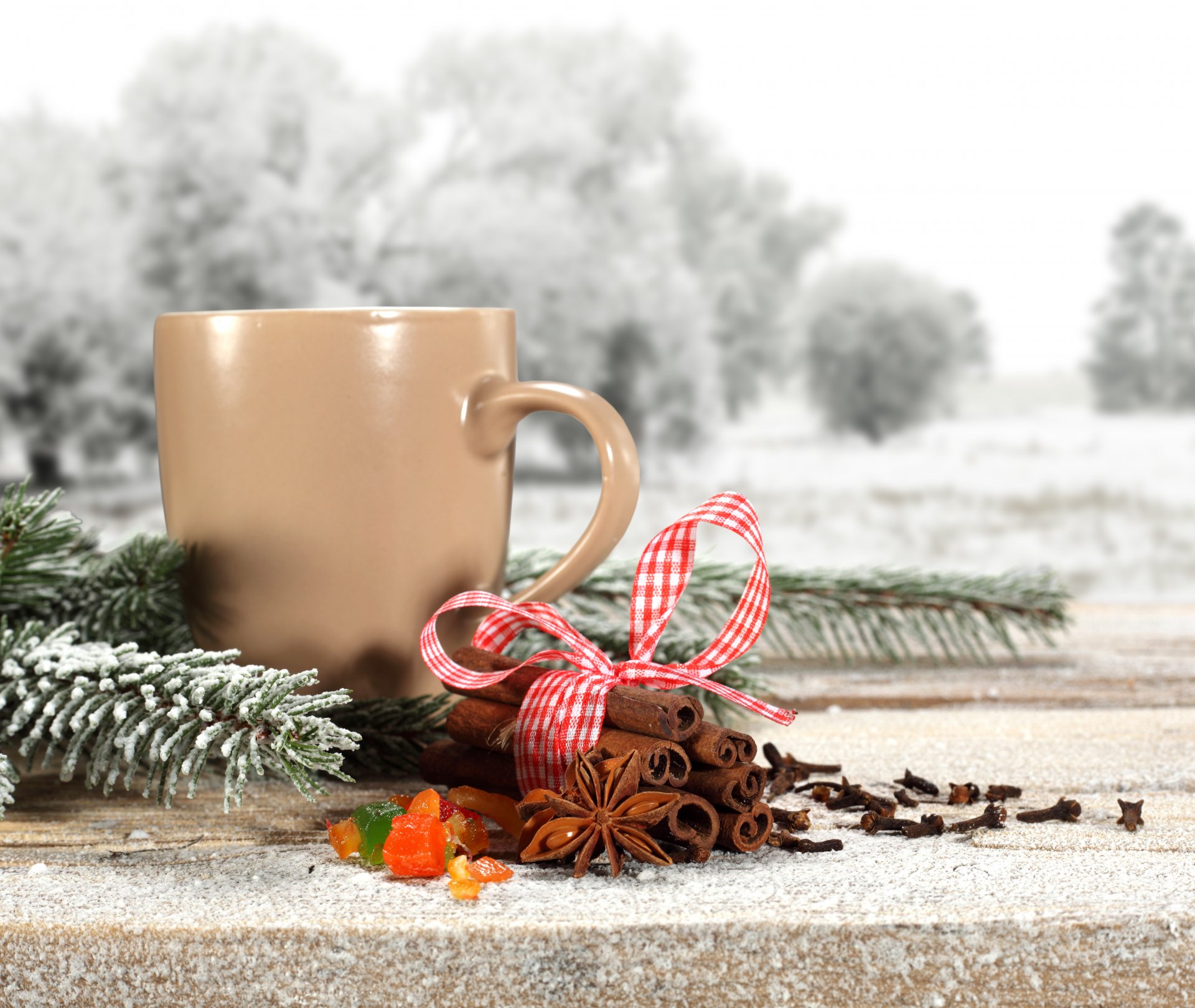 prazniki cinnamon branch belt pine snow cup tea coffee winter twig ribbon pine tree