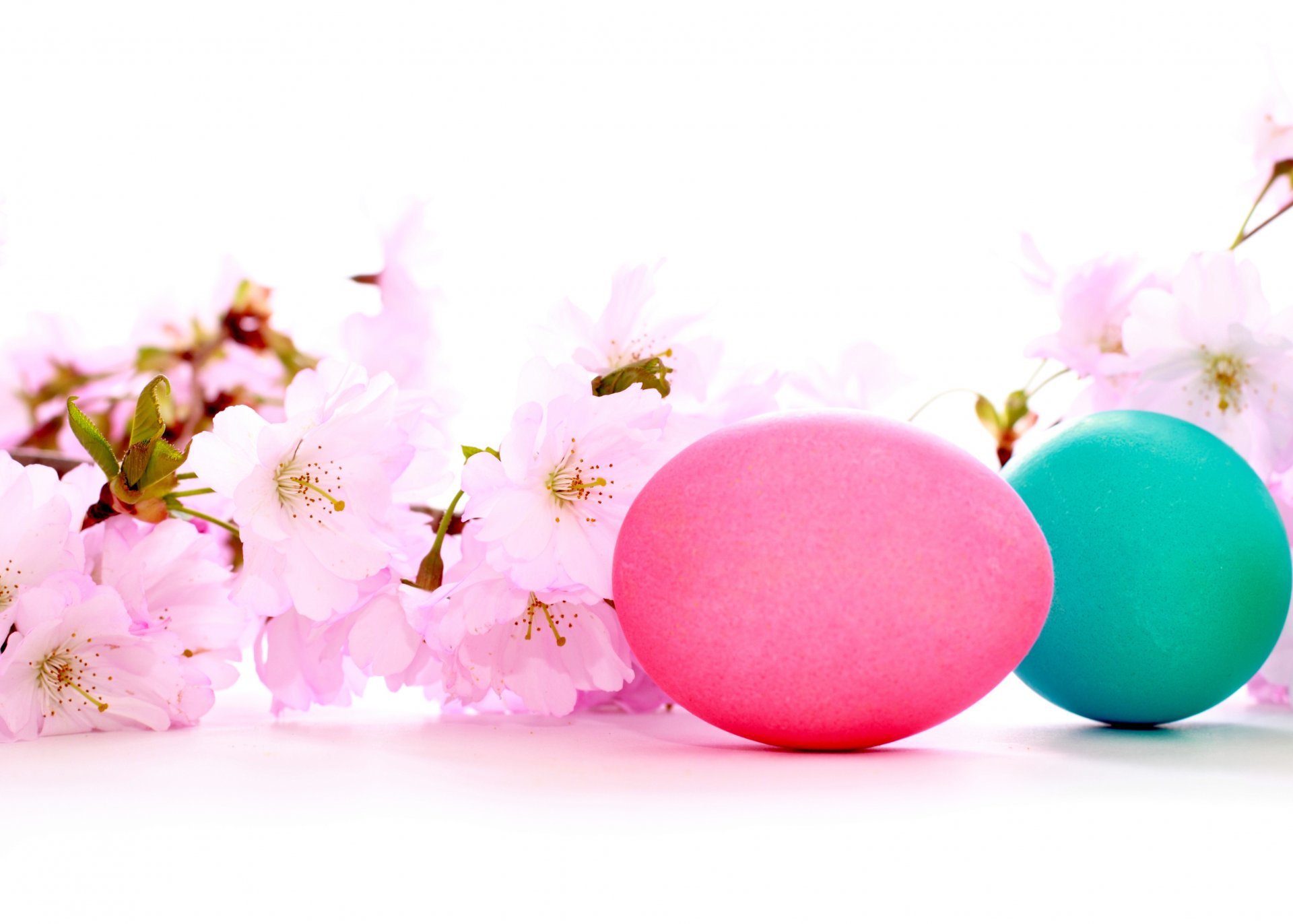 vacaciones pascua flores de cerezo testículos multicolores belleza