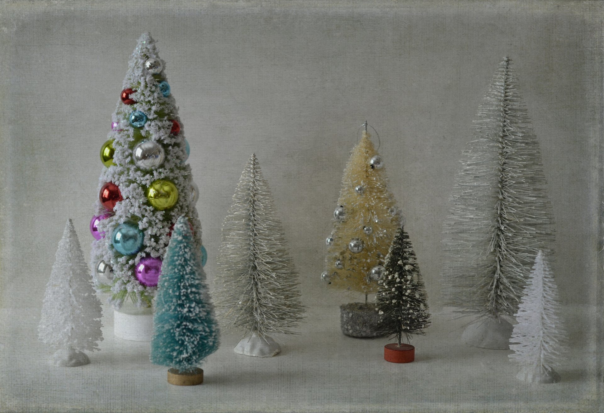 new year christmas tree fine background texture