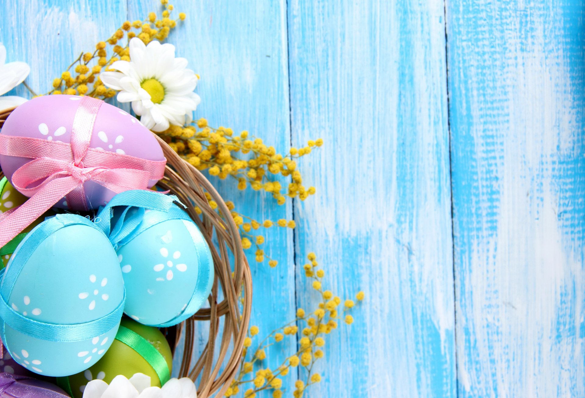 ostern frühling blumen eier kamille kamille pastell blau dünn frühling baum