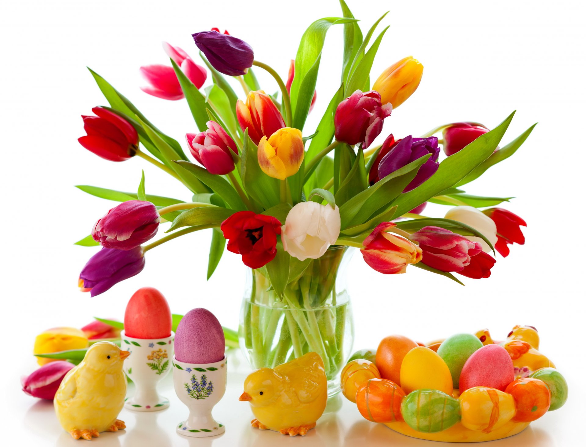 easter spring flowers eggs colorful tulips flower painted