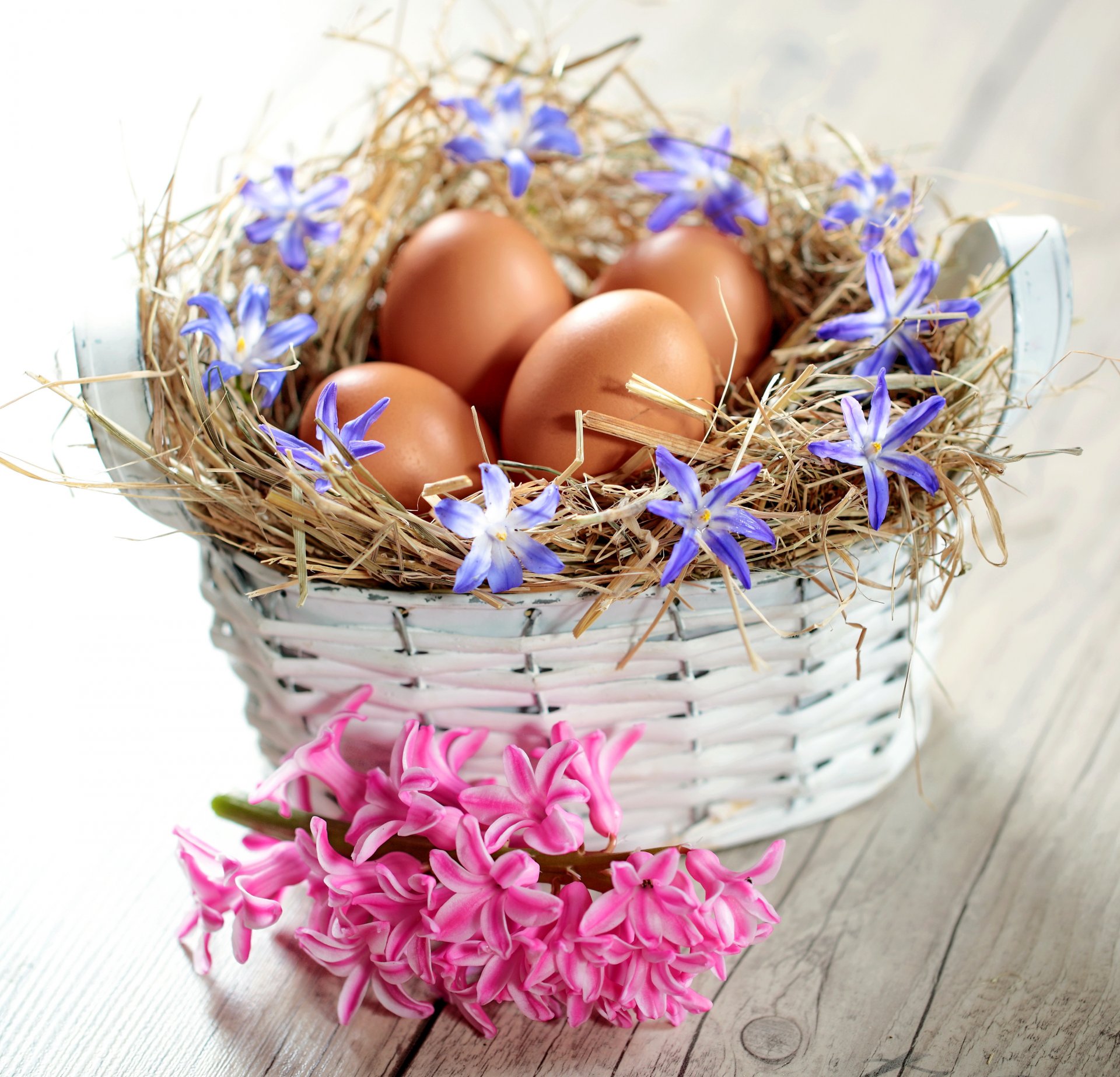 pasqua primavera fiori uova pastello cesto sottile primavera