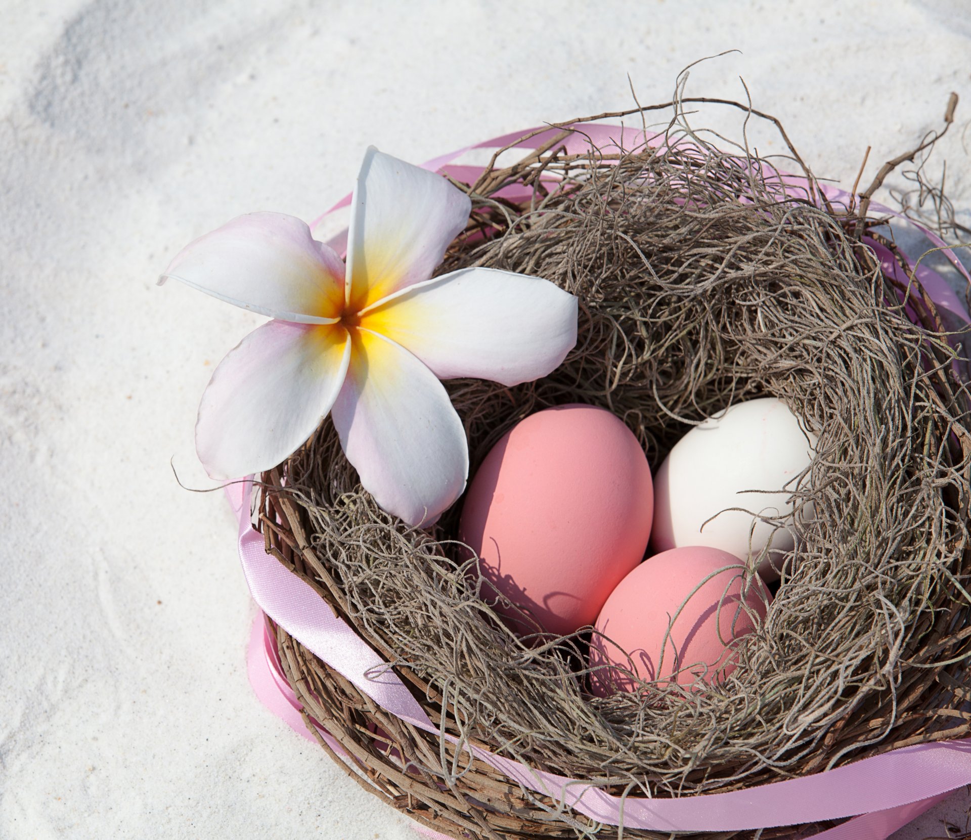 pascua huevos huevos de pascua