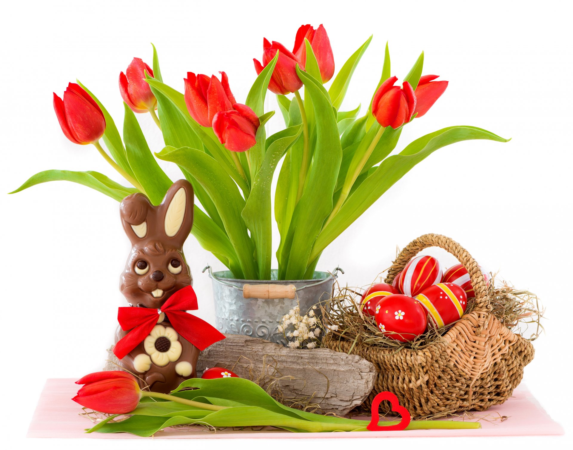 easter eggs flowers tulips bunny red