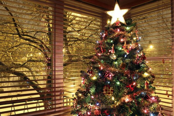 Árbol de Navidad en el fondo de las persianas