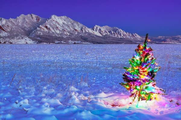 Árbol de Navidad en medio del invierno