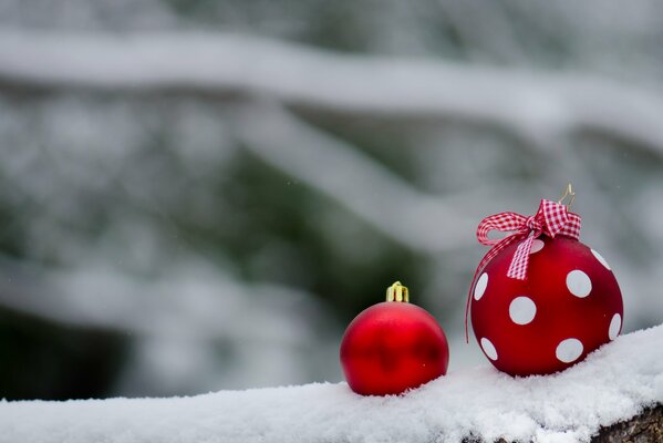 Photos of Christmas toys in the snow