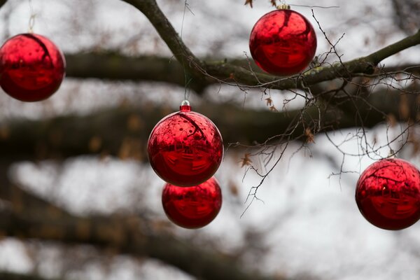 Juguetes de Navidad en ramas secas de árboles