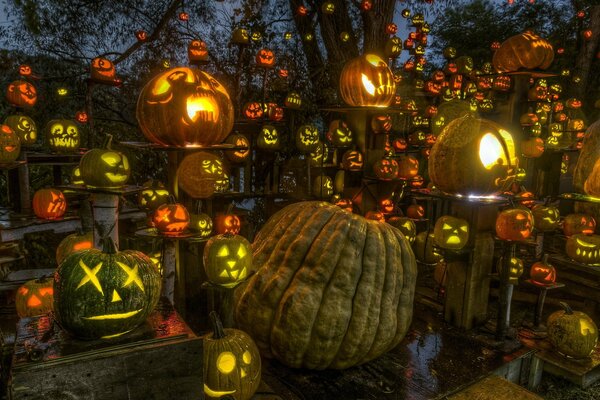 Caras talladas en calabazas para las vacaciones