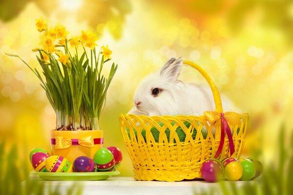 Conejo en una canasta amarilla con huevos de Pascua