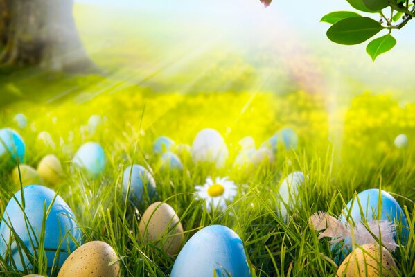 Easter eggs and flowers are lying on the green grass in the rays of the sun