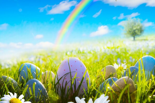 Frühlingswiese mit Gänseblümchen zu Ostern