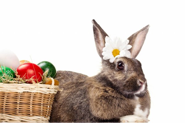 Easter bunny with flower and basket