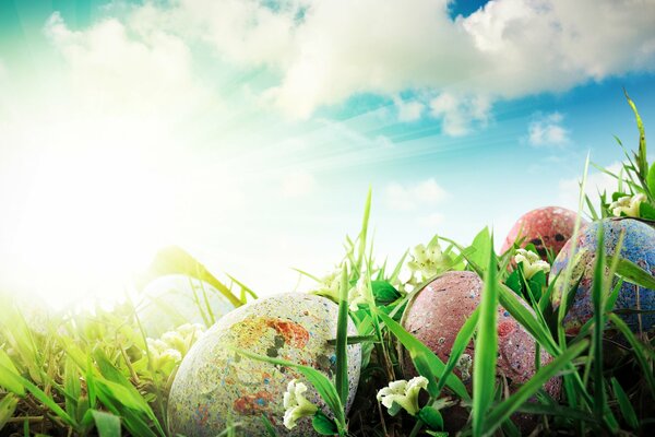 Easter eggs in the grass in the sun