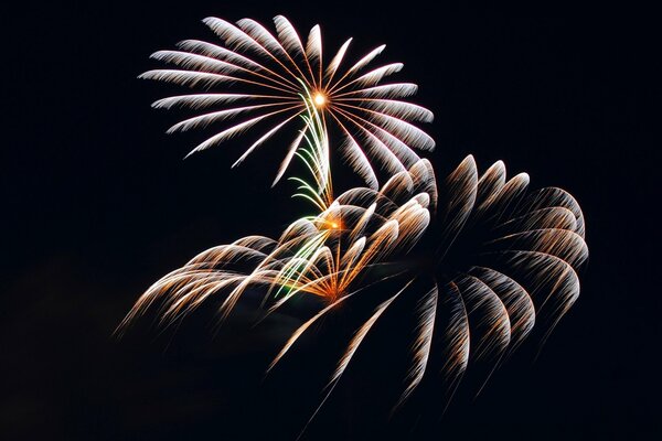 Beau feu d artifice dans le ciel nocturne