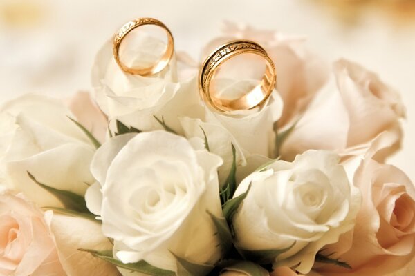 The most delicate photo of white roses with wedding rings