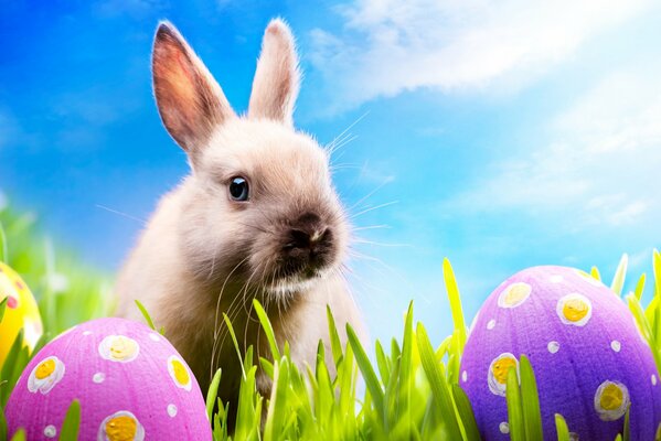 Conejos en la hierba verde con huevos de Pascua