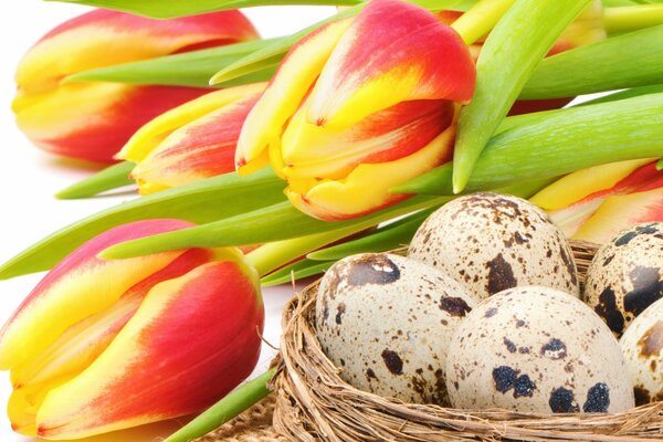 Huevos de Pascua y tulipanes rojos