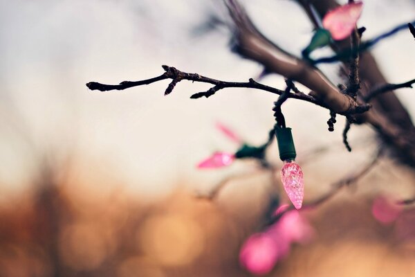 Eine Girlande auf einem Baum ist wie eine Blume