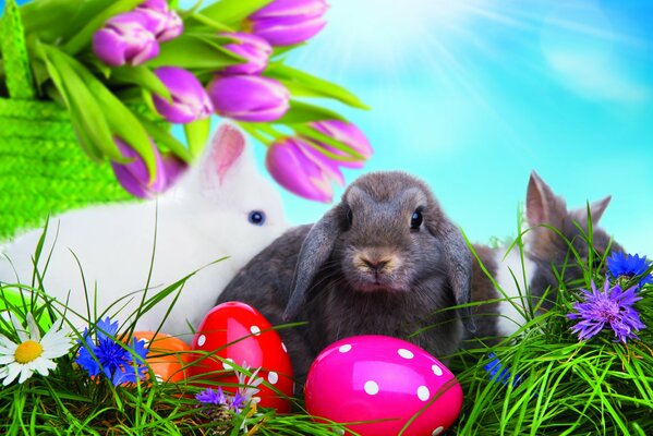 Foto de Pascua de conejos y huevos pintados