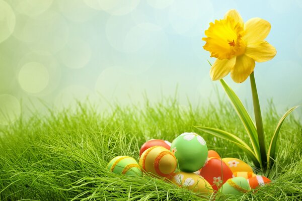 Easter lawn of their eggs and flower