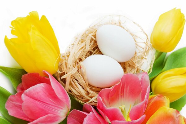 Huevos y tulipanes composición para la Pascua