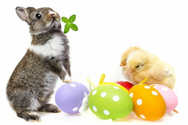 Easter greeting card with chickens