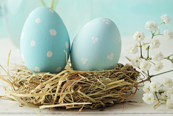 Oeufs dans le nid pour la fête