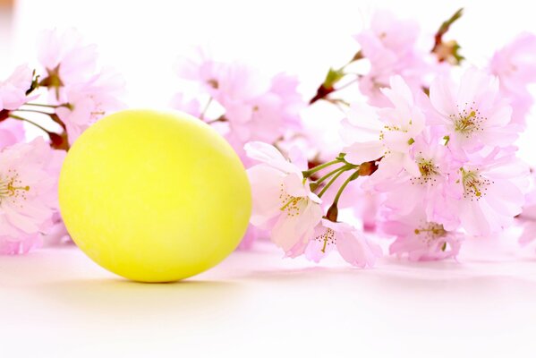 Huevo de Pascua amarillo y flores de cerezo