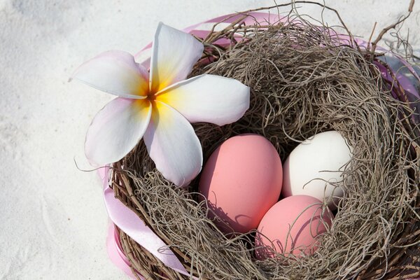 Compasion de huevos de Pascua en estilo minimalismo