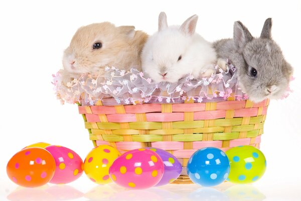 Easter bunnies in an egg basket