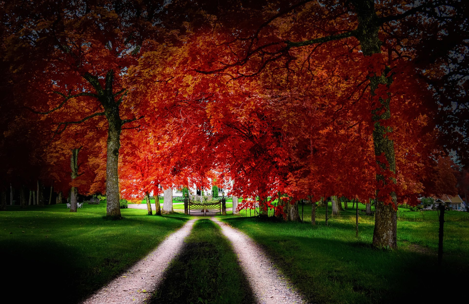 haus hof tor straße gras bäume blätter herbst