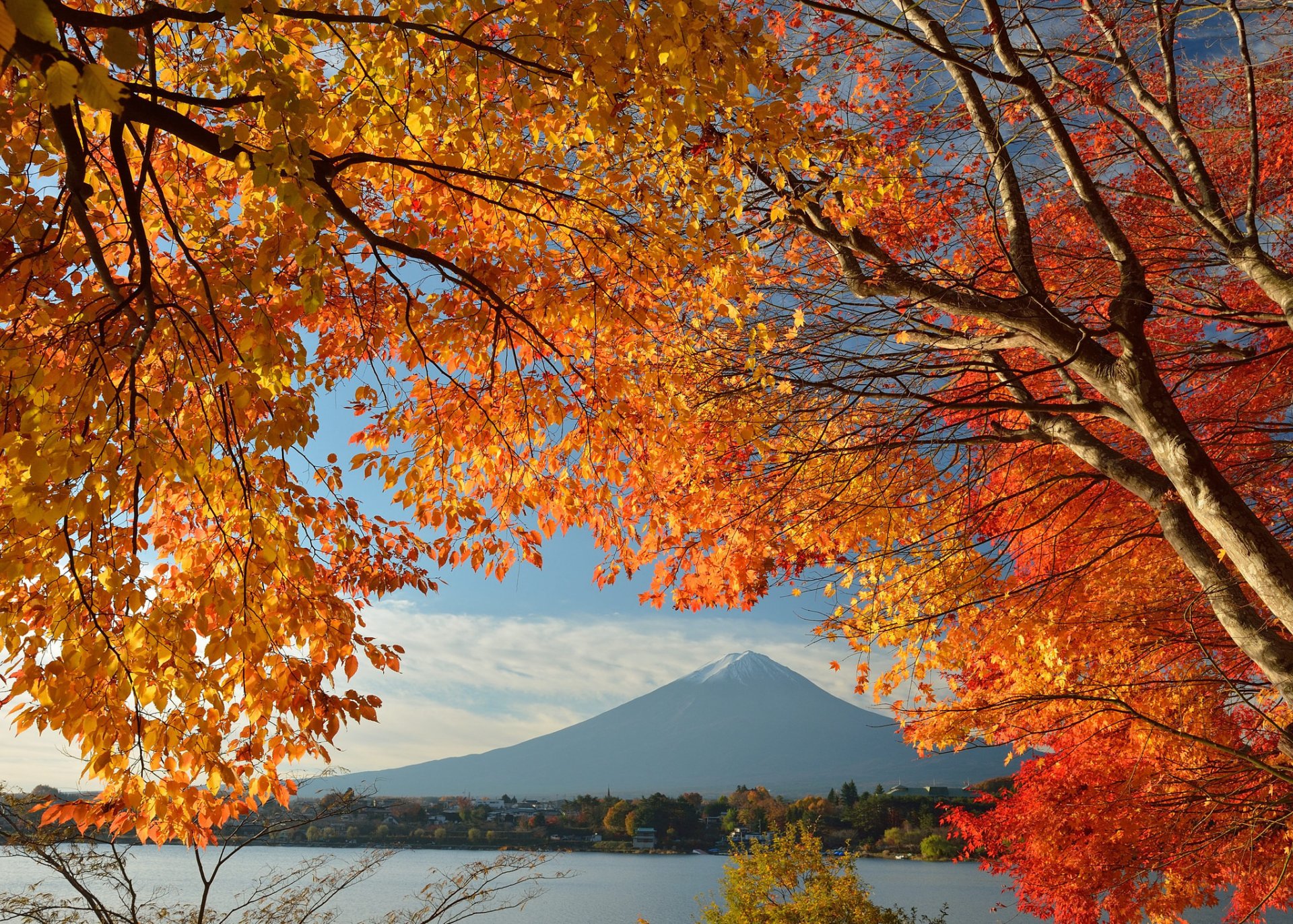 japón monte fuji cielo casa lago árboles hojas otoño