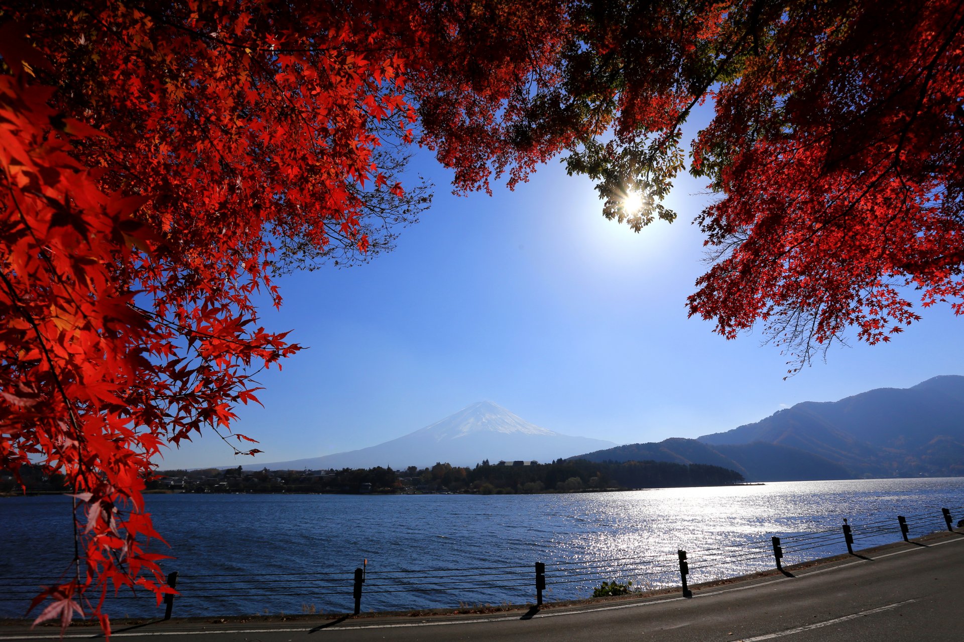 japonia góra fuji droga rzeka góra fujiyama gałęzie liście