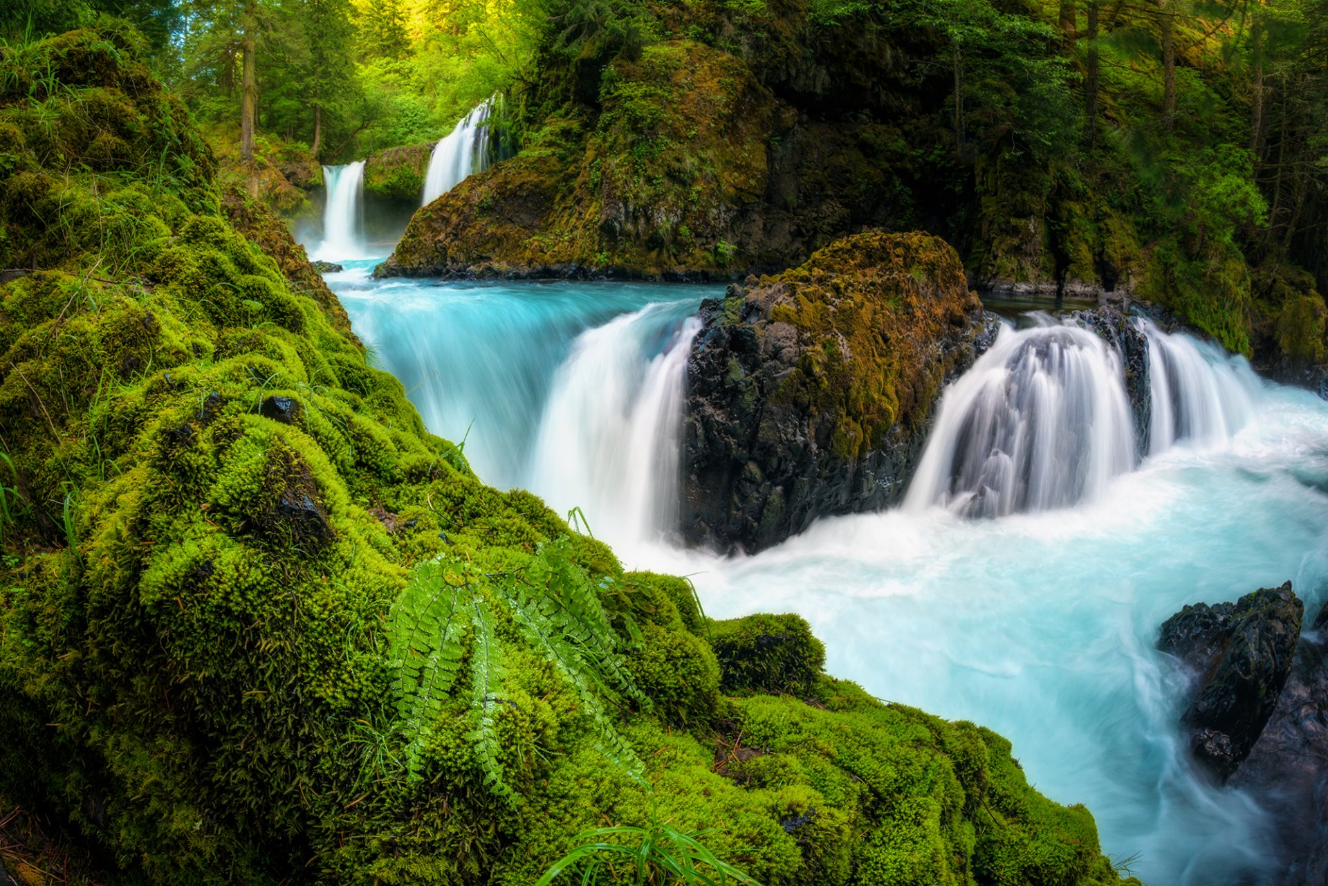 pirit falls columbia river gorge washington washington waterfall cascade river rocks moss fern forest