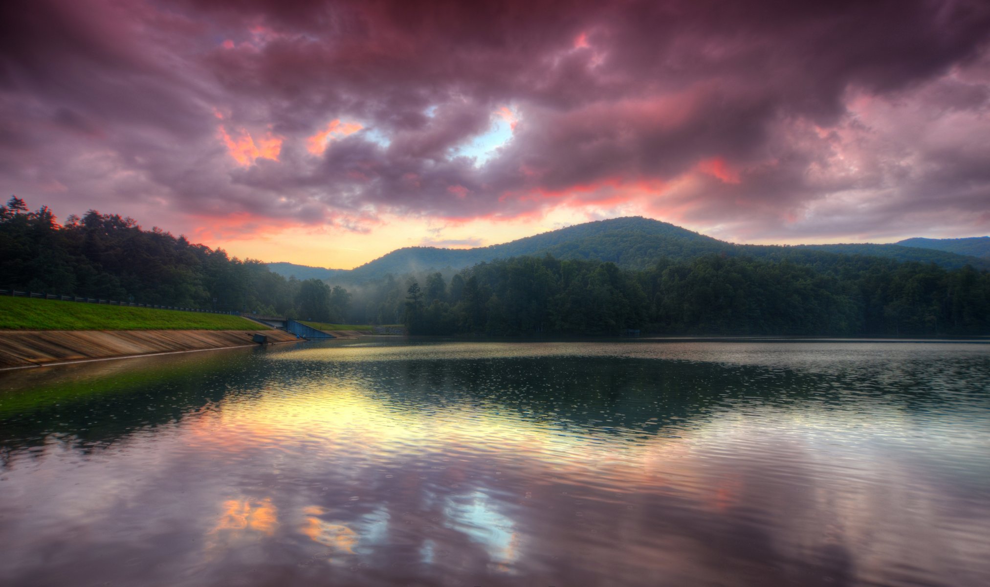 morning lake fog tree dawn