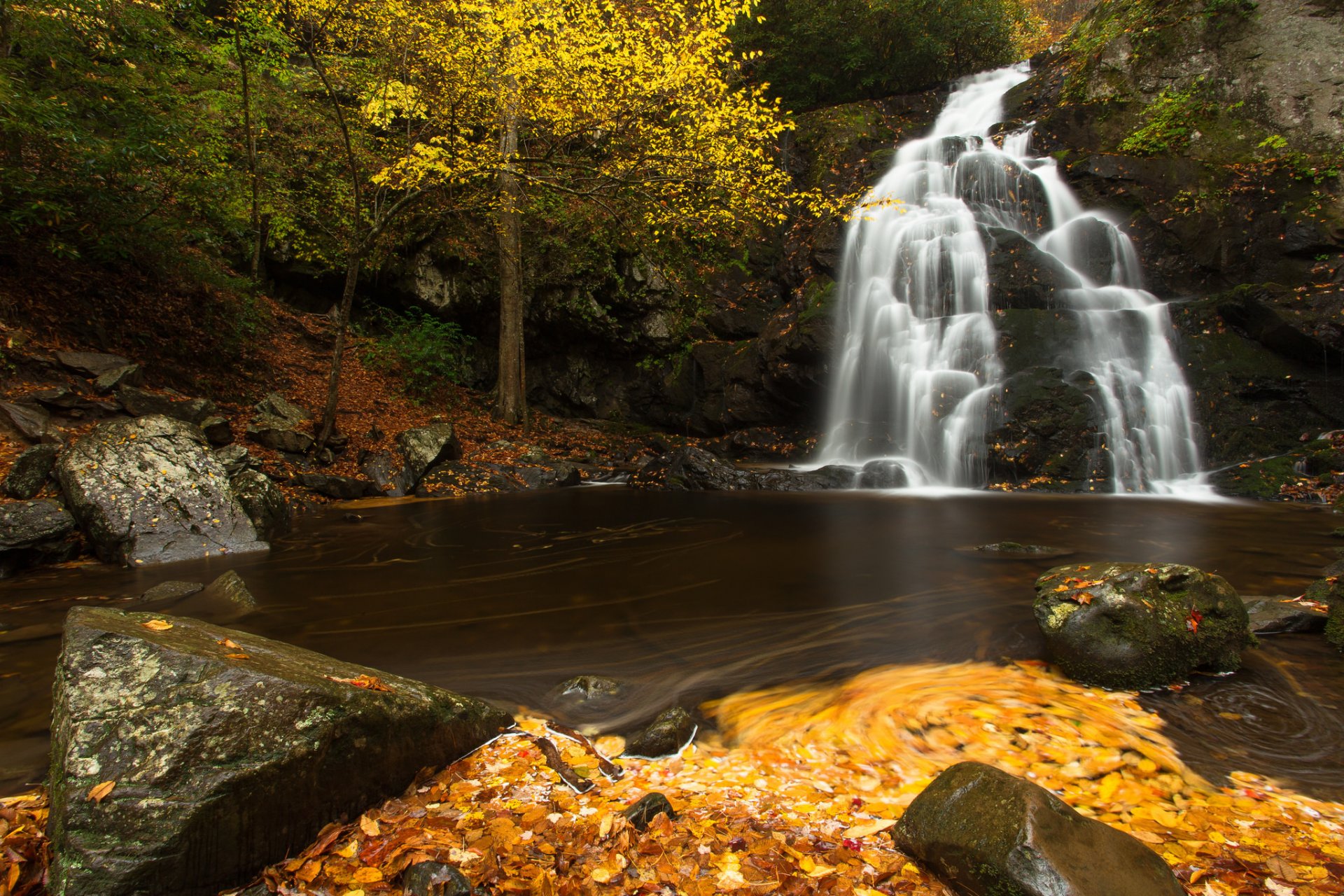 świerk apartamenty wodospad great smoky mountains national park tennessee wodospad kaskada rzeka kamienie liście jesień