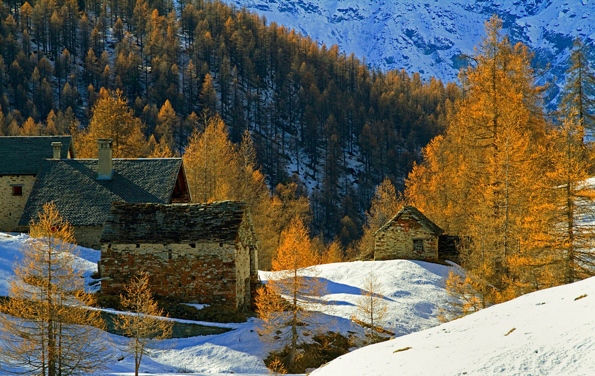 горы дома снег деревья осень