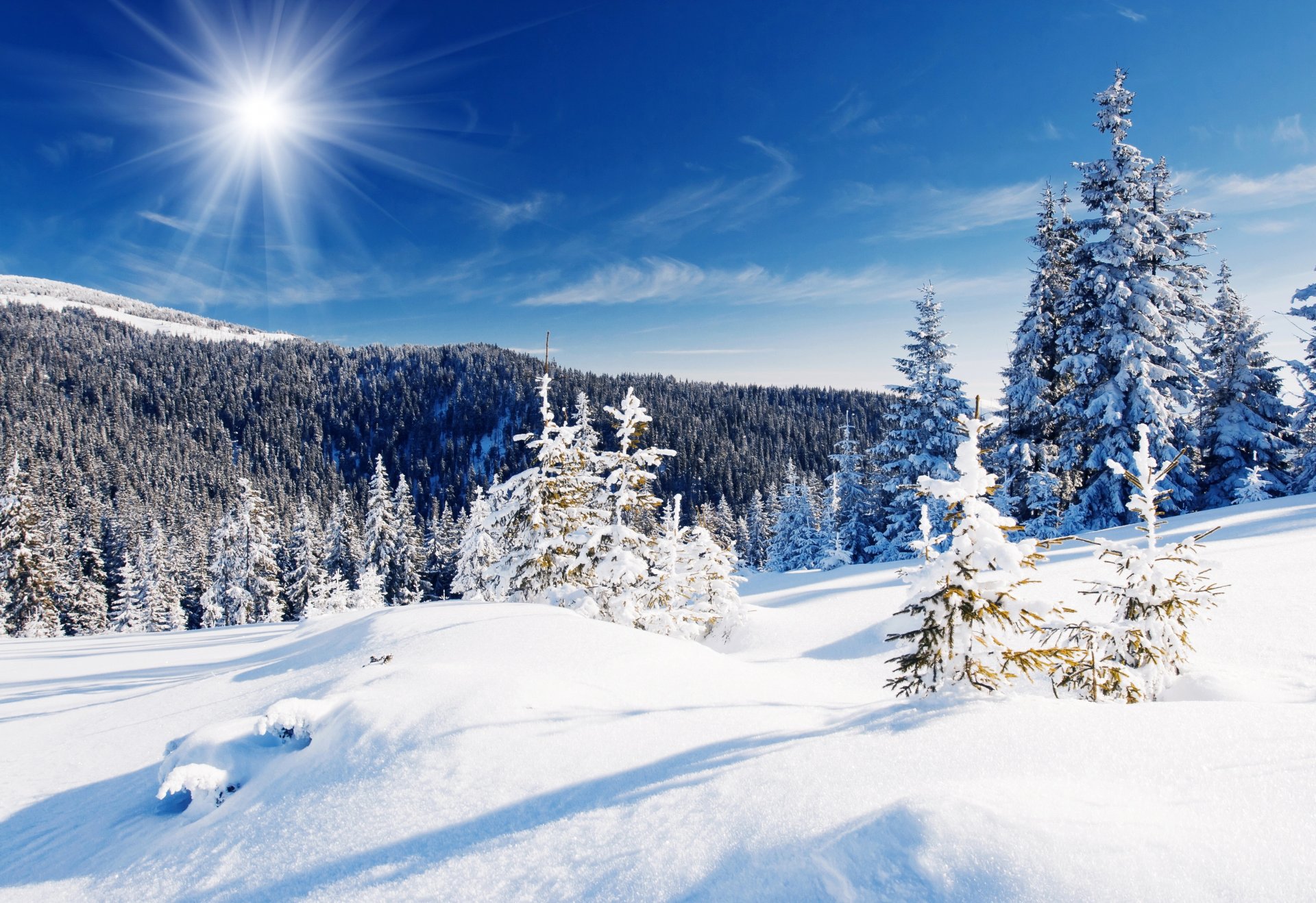 neige hiver forêt arbres congères ciel bleu rayons du soleil