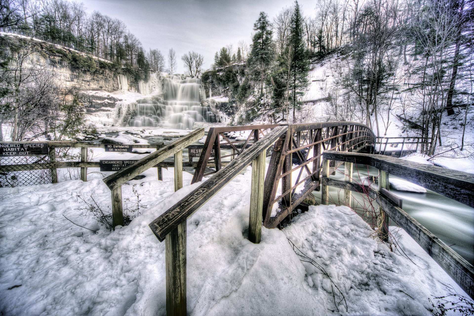 chittenango falls state park new york state ny united states waterfall mountain rock winter snow bridge tree