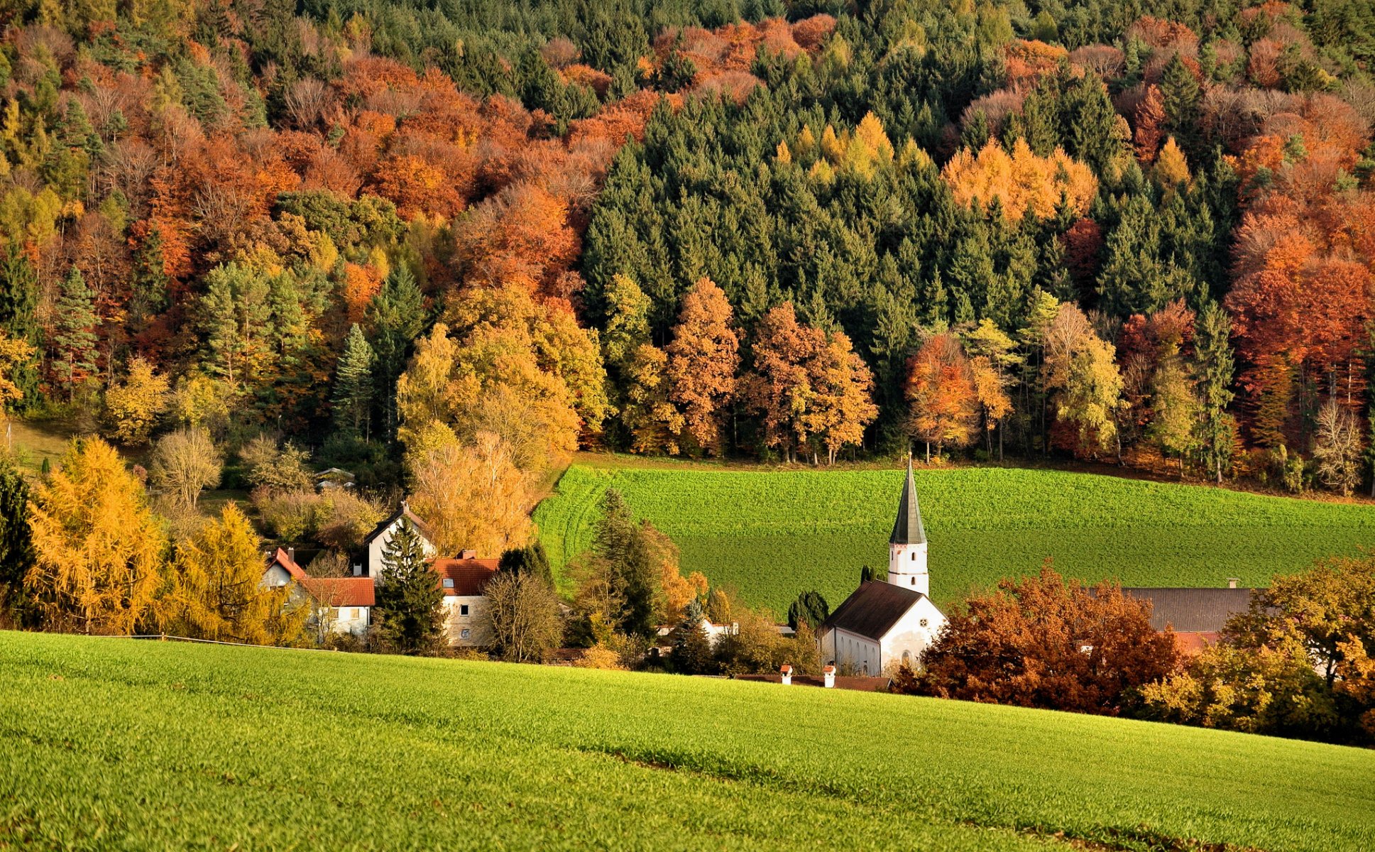 hügel wald feld häuser kirche bäume herbst