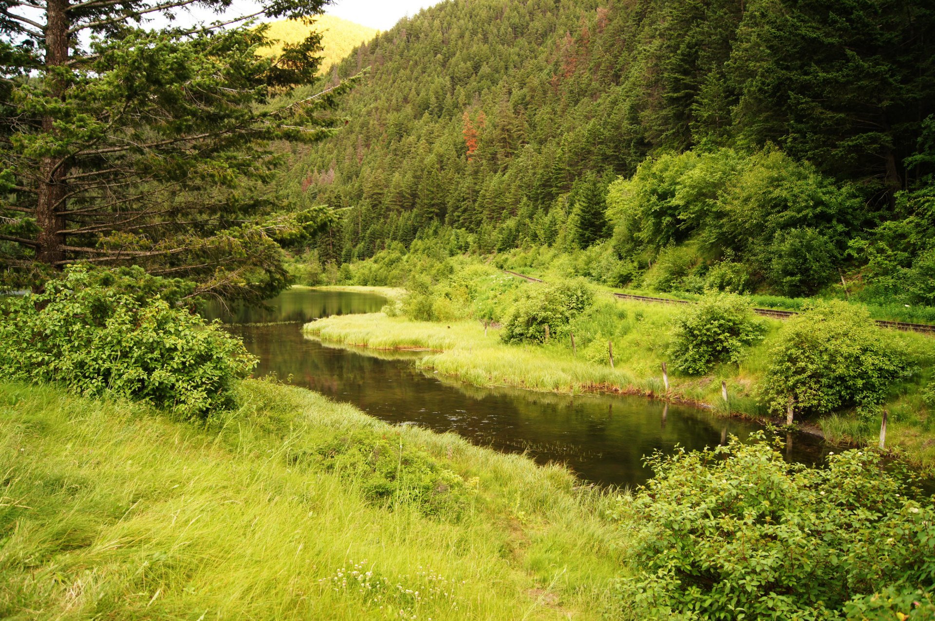 canada lake pear lake forest mountain green railroad