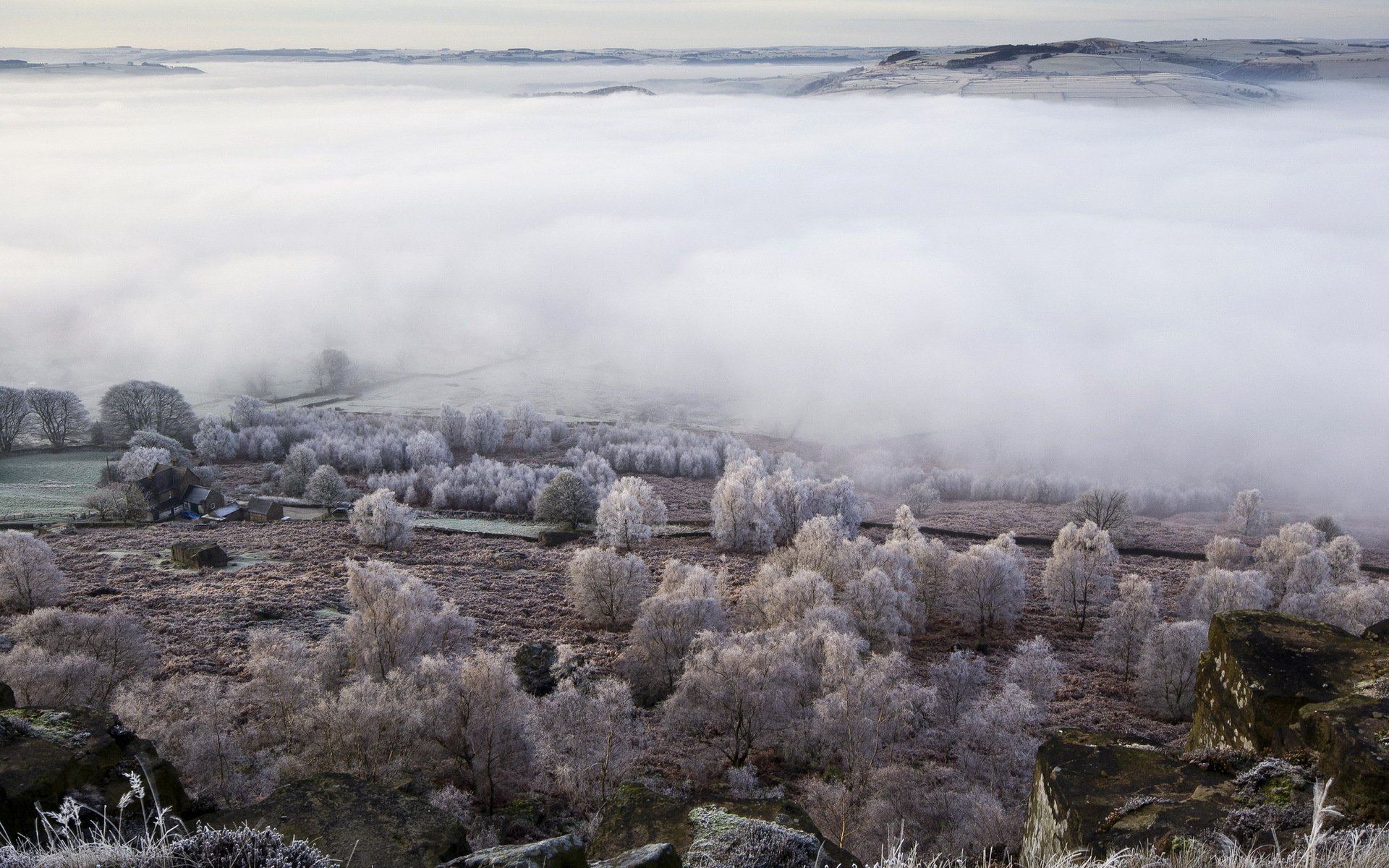 campo niebla valle paisaje