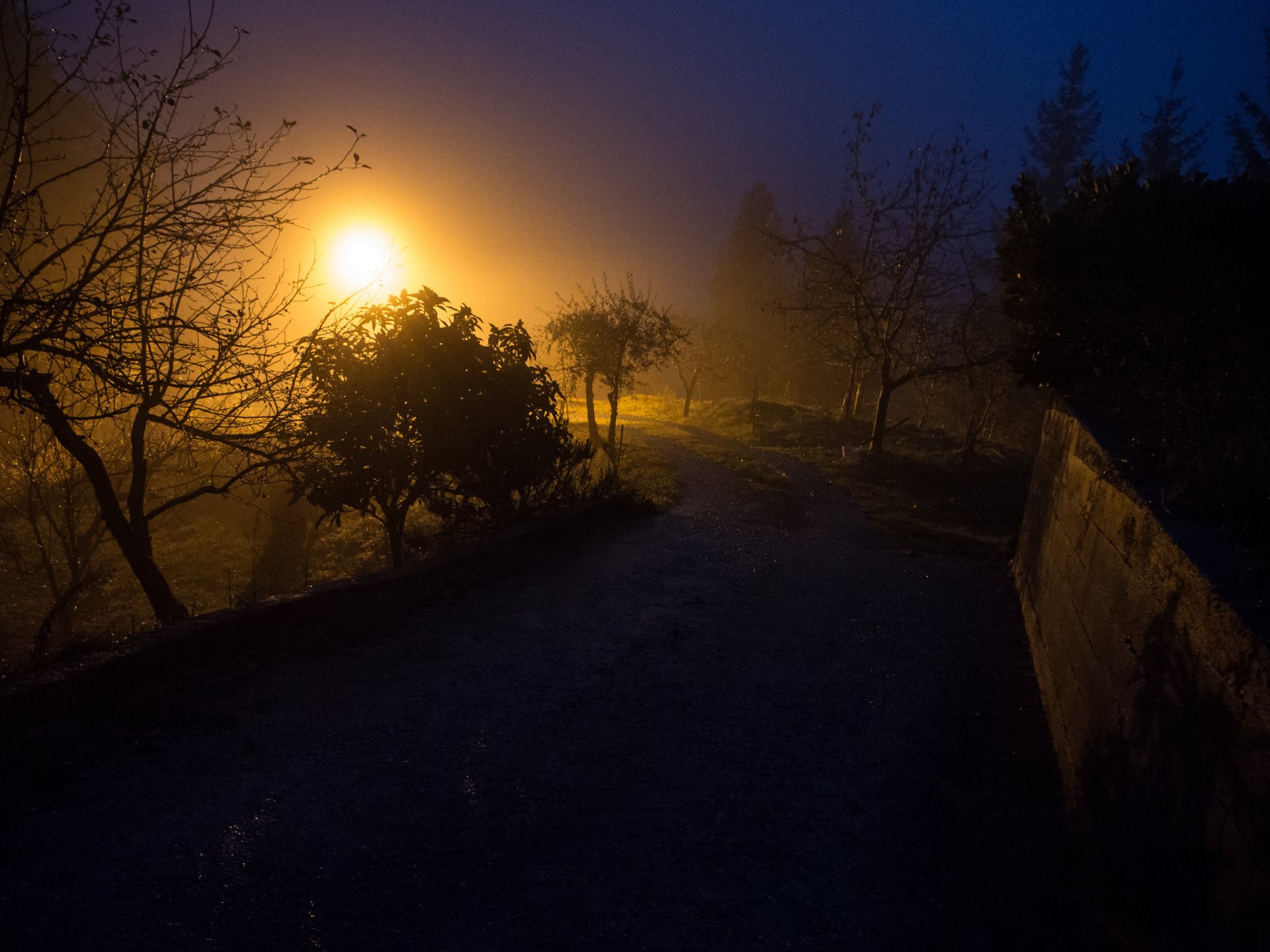 ciel brouillard soirée lumière route arbres clôture